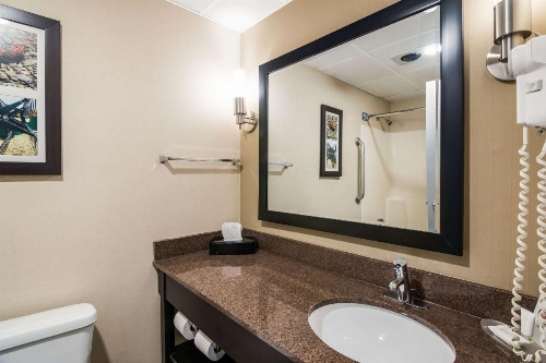 Clarion Pointe Jamestown - Falconer image 11